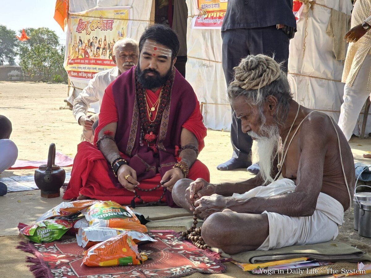 Tapasya: the Sacred Fire that Eradicates Sorrow and Grants Bliss