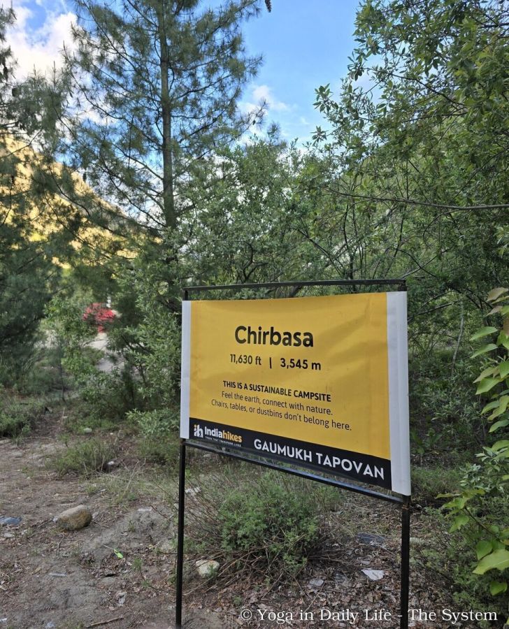 7.1. chirbasa camp wm